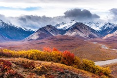 In Denali Park